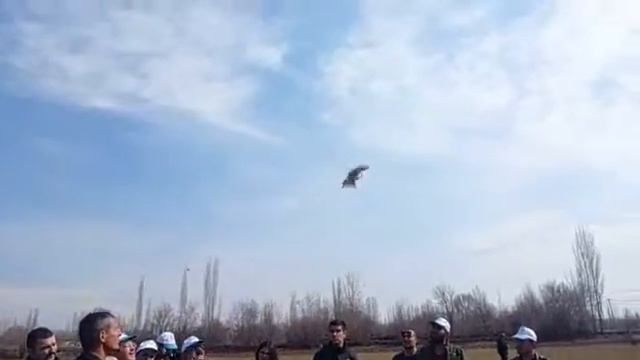 Keklikler Doğada... IĞDIR смотреть онлайн
