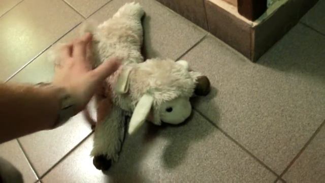 САО, Осторожно! Не трогай, ГБУ ЦПСиД САО г. Москвы смотреть онлайн