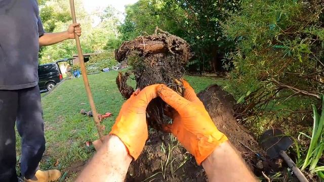 Blocked Drain 568 смотреть онлайн