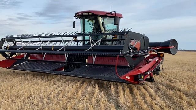 SOLD *2010 30’ CaseIH WD1203 SP swather смотреть онлайн