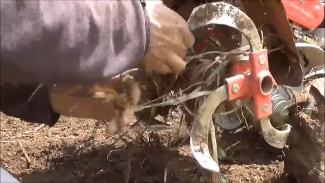 kipor en el liuco chile смотреть онлайн