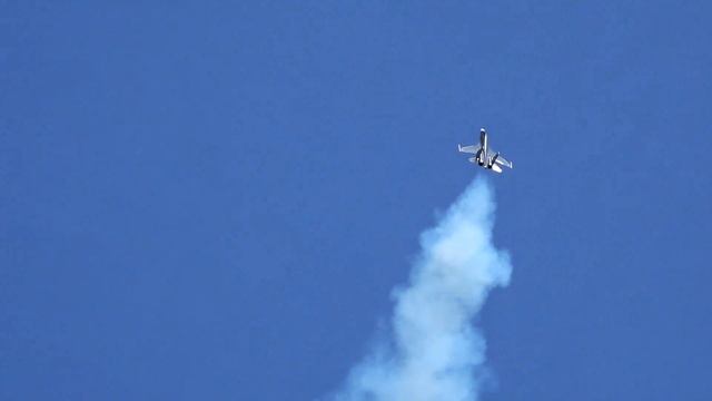 ELSTER JET TEAM 2x SUCHOI SU-30 ONE OF WORLD´S BEST RC JET SHOW / Modellflugtage 2016 Pirna
