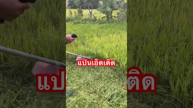 ตัดช่วงนี้จะทันไหม ? смотреть онлайн