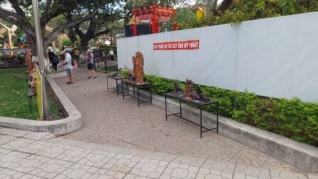 Галерея Бонсай в Нячанге big bonsai exhibition  in Vietnam Nha Trang