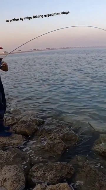 In action by migs fishing expedition vlog #ultralightfishing #agingrod#fifaworldcup2022qatar смотреть онлайн