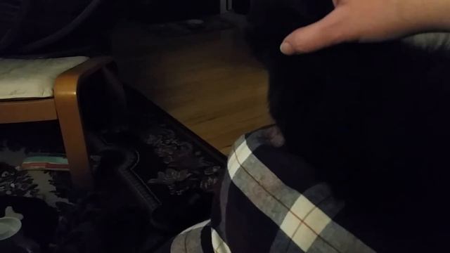 20190312 030936 смотреть онлайн