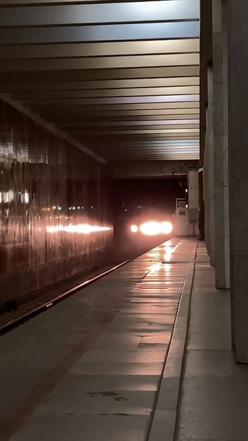 Электропоезд 81-714.5/717.5 «Номерной» прибывает на станцию «Царицыно» Замоскворецкой линии😔 смотреть онлайн