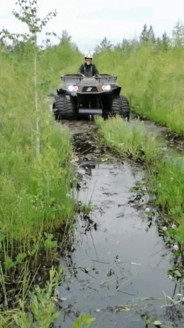 ЗЭТ- купи себе и ты #квадроцикл #вездеход #болотоход #охота #рыбалка #продажа #тестдрайв #atv смотреть онлайн
