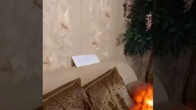 Pay Day против реальной жизни смотреть онлайн