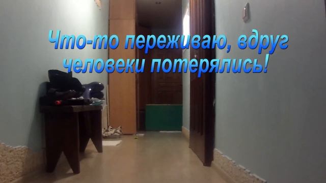 Щенок фр. бульдога первый раз осталась одна дома. смотреть онлайн