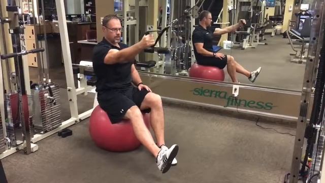 Workoutsmart.com - Stability Ball 1 Arm Row Elbow Close смотреть онлайн