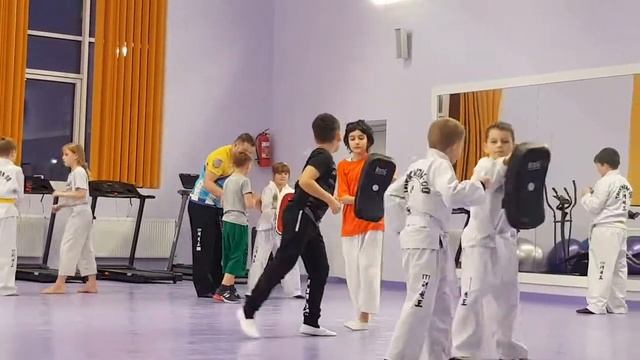 Тхэквондо смотреть онлайн