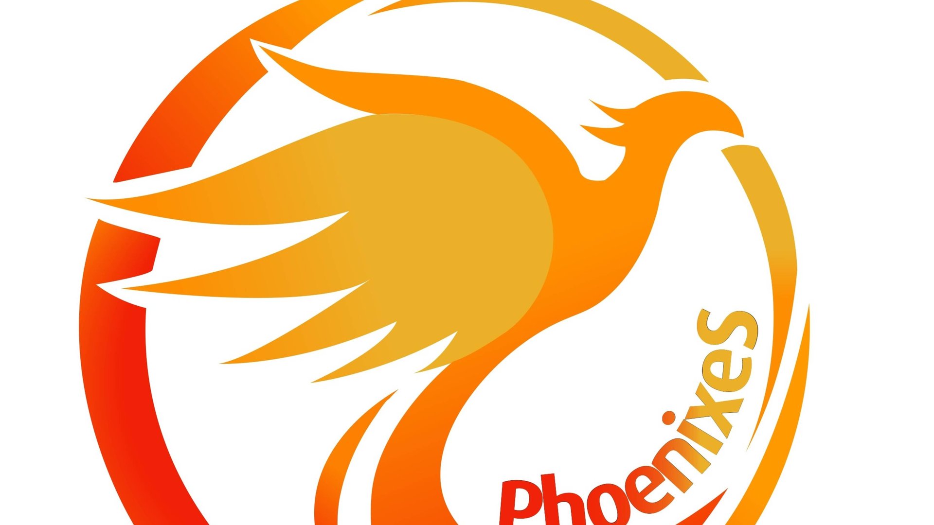 Скандинавская ходьба. Nordic Walking