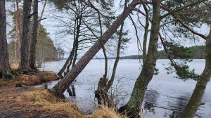 Банька со Смуглянкой-2