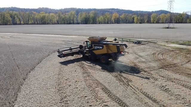 CAT / Claas Lexion 595R Soybean Harvest in Ohio смотреть онлайн