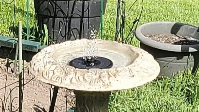 Best Solar Fountain Pump In 2024 - Top 10 Solar Fountain Pumps Review смотреть онлайн