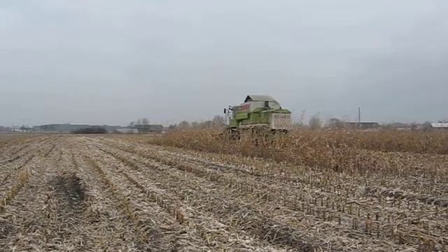 Claas Mega 204 Kukurydziane ostatki 2017/2018 смотреть онлайн