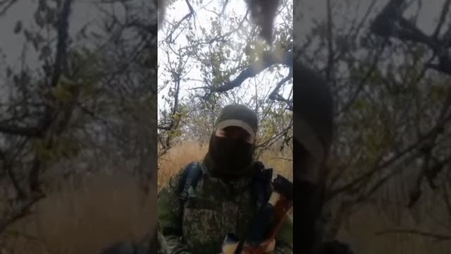 2 июня 2024 г. смотреть онлайн