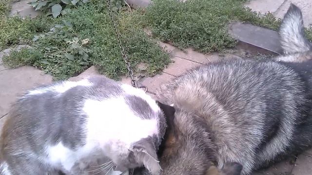 Встреча старых друзей смотреть онлайн