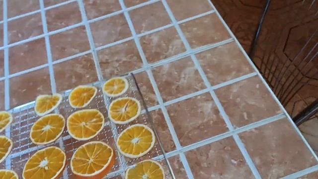 Green Technology Glory