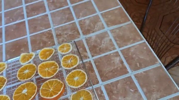 Сушка апельсинов в дегидраторе.