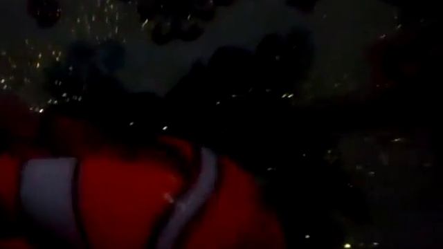 в поисках Немо песня 3 смотреть онлайн