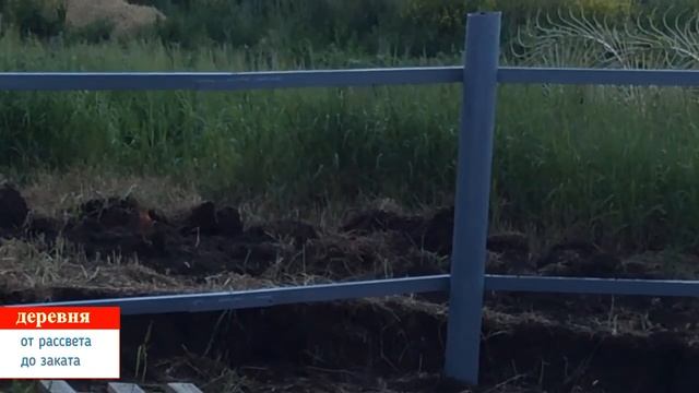 в помощь деду смотреть онлайн