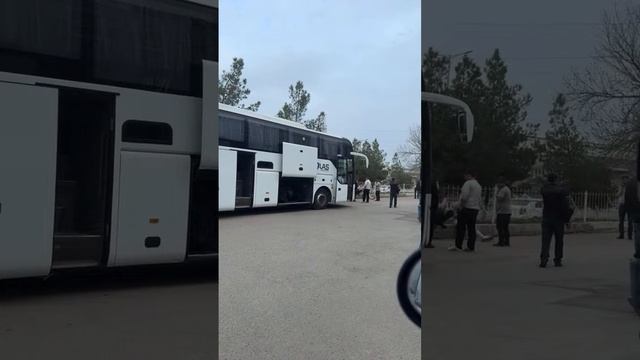 Ташкент Москва автобус 26 03 2024￼ ,+ 998 91 011 02 11 смотреть онлайн