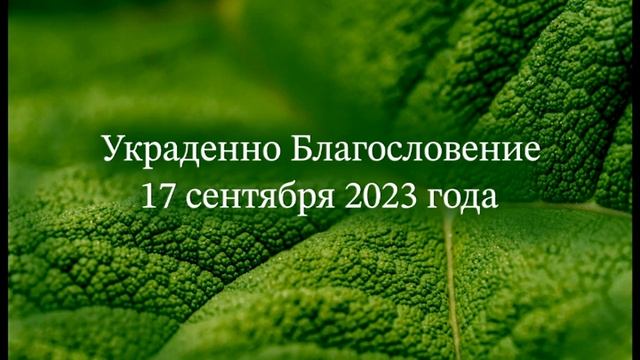 Украденное Благословение смотреть онлайн