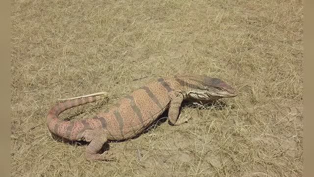 Под южным солнцем смотреть онлайн