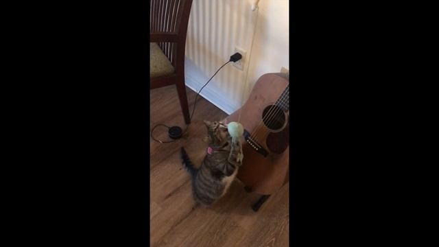 Kit E. Kat - Well Where смотреть онлайн