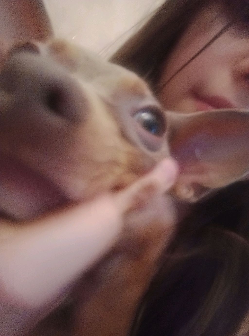 всем хауси! ✭ смотреть онлайн