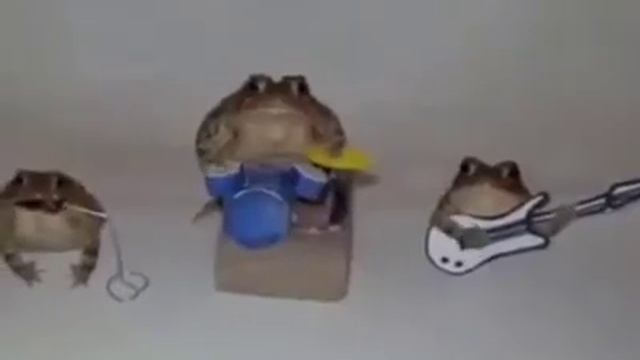 концерт жаб смотреть онлайн