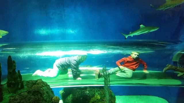 Лиза и Соня в трубе смотреть онлайн
