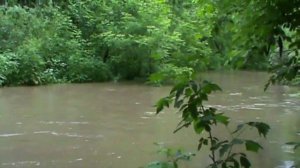 Посвящение Фенимору Куперу (Все серии)