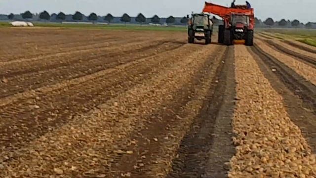 CASE IH MAXXUM 100 & GRIMME DR 1500 UIEN ROOIEN смотреть онлайн