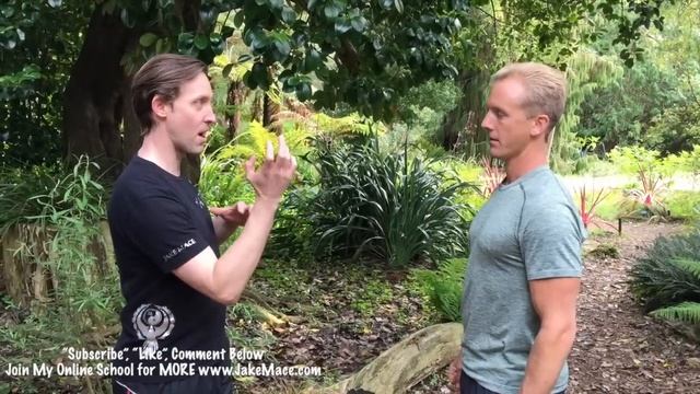 Tiger Kung Fu VS Crane Kung Fu - Fight Club!