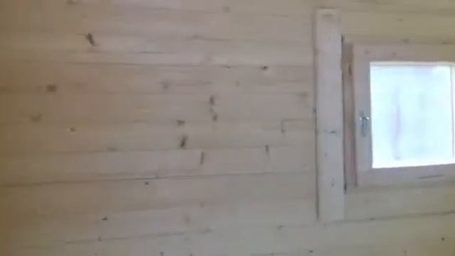 В бытовке выросло дерево:-) 17 мая 2018 г. смотреть онлайн