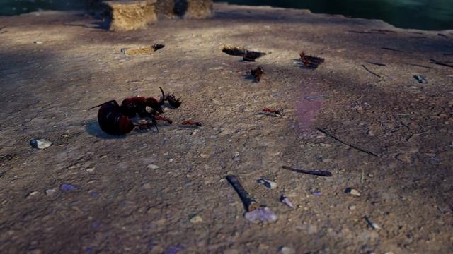 Red Velvet Ant смотреть онлайн