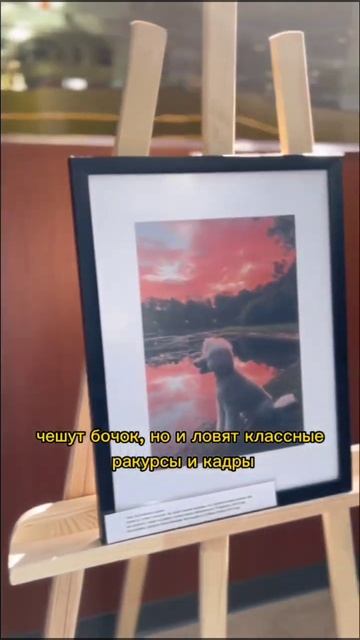 Выставка Собаки-гуляки в Три вокзала. Депо🐶 смотреть онлайн