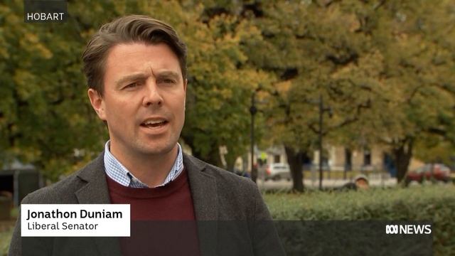 Celebrations but lessons for Labor after swings in three Tasmanian seats | ABC NEWS смотреть онлайн
