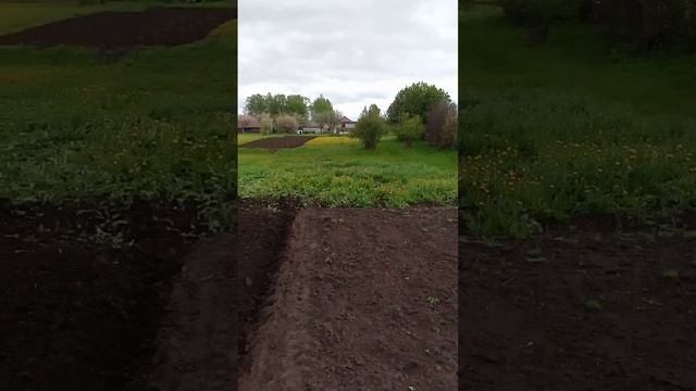 пахота 2024 смотреть онлайн