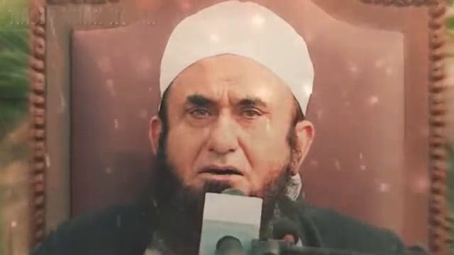 Molive Tariq jameel смотреть онлайн