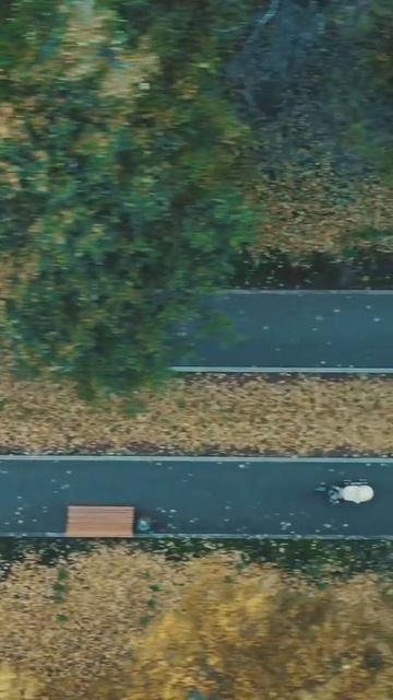 Нижний Новгород ❤️ Осенний парк «Швейцария» #shorts смотреть онлайн