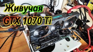 Истории: Живучая GTX 1070 Ti. Gigabyte