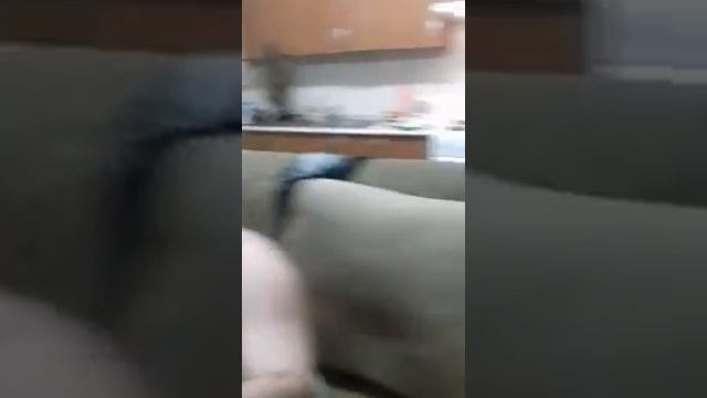 Когда пить вдвоём,стало скучно смотреть онлайн