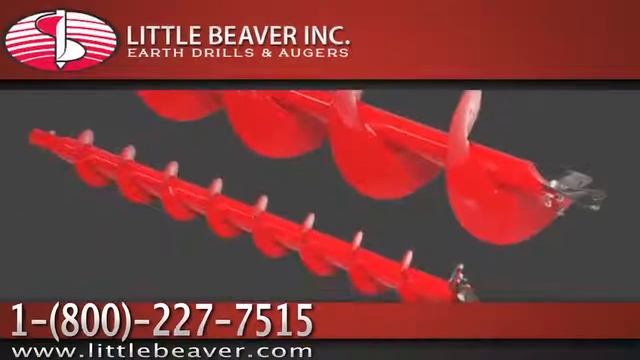 Little Beaver - Pre-Roll on AFA TV смотреть онлайн