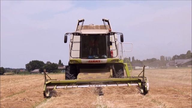 Grassamen Ernte mit Claas Lexion 540! смотреть онлайн