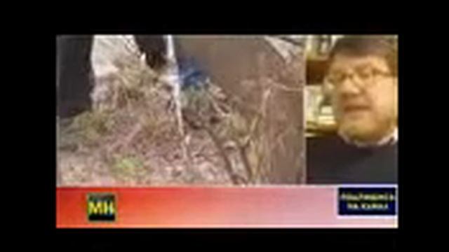 #Западные СМИ игнорируют политические убийства на Украине! #Новости Сегодня #США #Украина mp4 смотреть онлайн