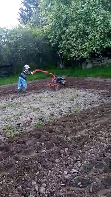 Мотоблок Агат. Самый лучший в эксплуатации, легко управляется даже ребёнком !!! Часть 2 весна... смотреть онлайн